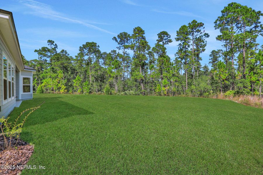 Exterior details and patio area of a home in , Green Cove Springs (Image 3).