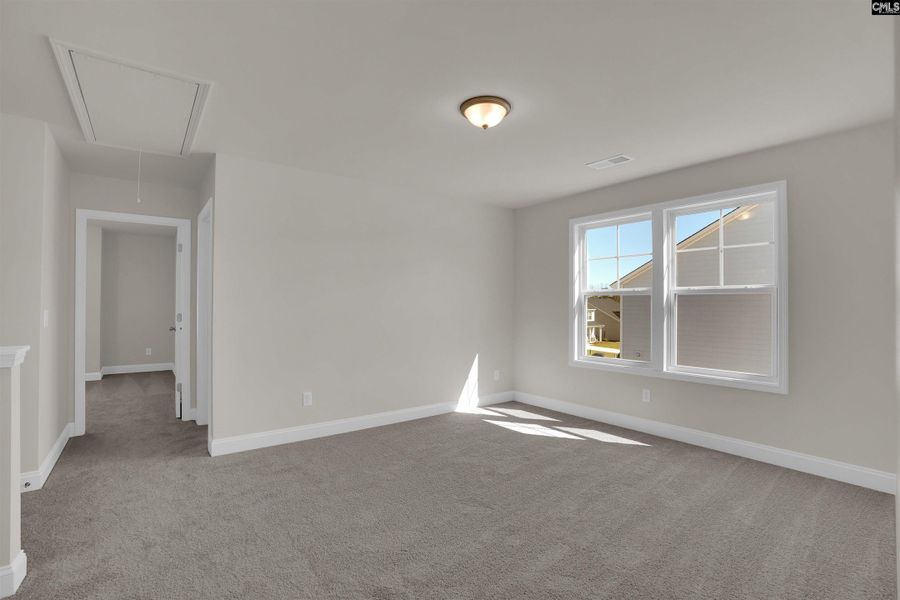 Spacious, unfurnished interior of a new home in Boykin Hills, Chapin (Image 32).