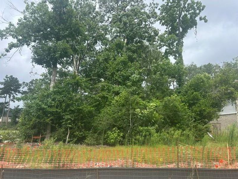Natural landscape and outdoor views near The Woodlands Hills in Willis (Image 14). Natural landscape and outdoor views near The Woodlands Hills in Willis (Image 14).