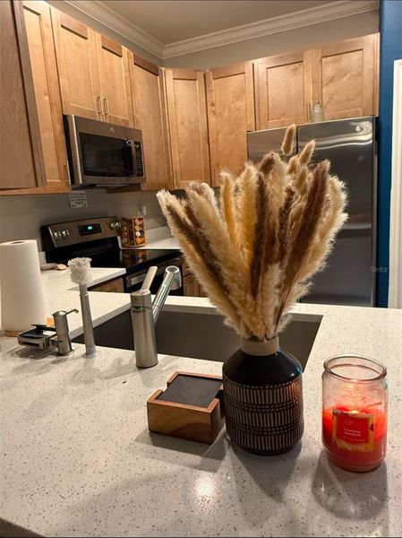 Furnished interior view inside a new home in , Land O' Lakes (Image 8).