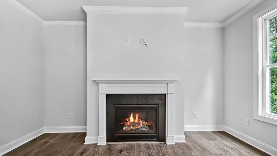 Image 33 representing the Edisto by D.R. Horton in Horton Park, Apex, NC.