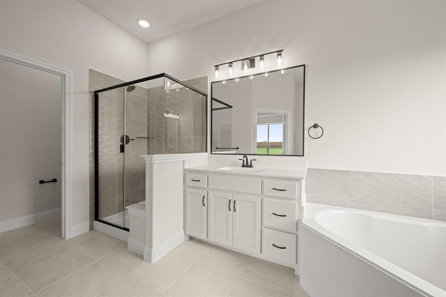 113 Grey wolf- Primary-4 113 Grey wolf- Primary-4