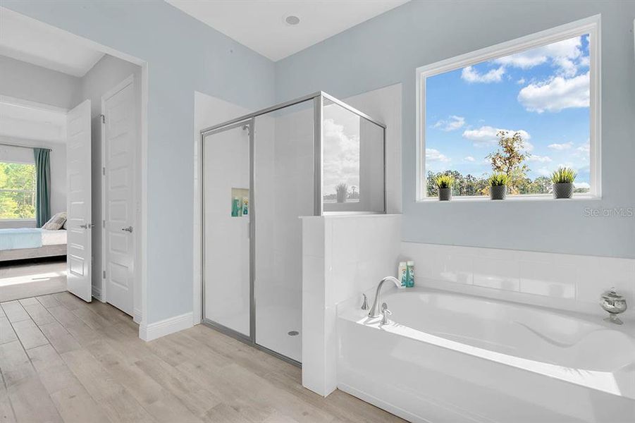 Furnished interior view inside a new home in Buena Lago, St. Cloud (Image 23). Furnished interior view inside a new home in Buena Lago, St. Cloud (Image 23).