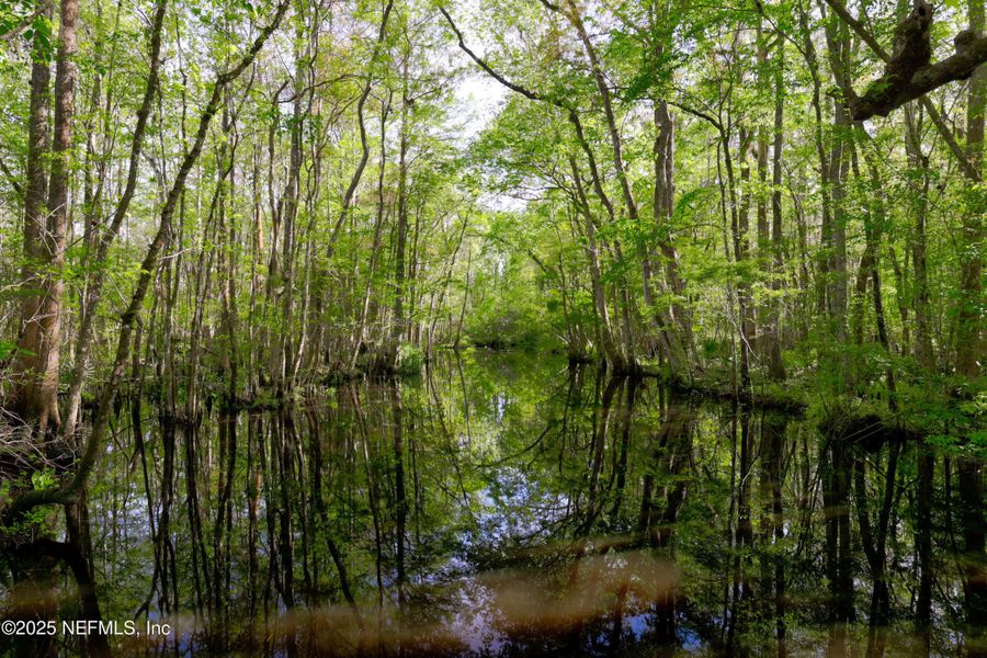Natural landscape and outdoor views near Trailmark - Phase 6 in St. Augustine (Image 55). Natural landscape and outdoor views near Trailmark - Phase 6 in St. Augustine (Image 55).