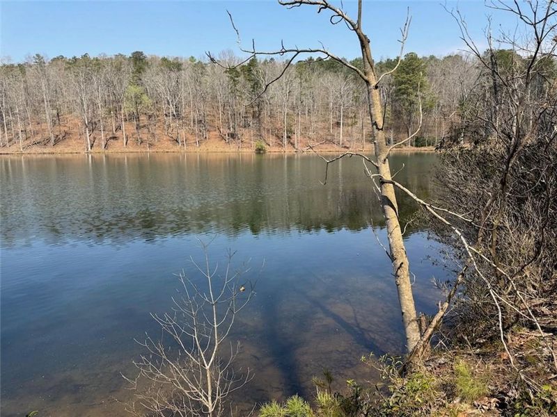 Natural landscape and outdoor views near The Bluffs in Canton (Image 18).