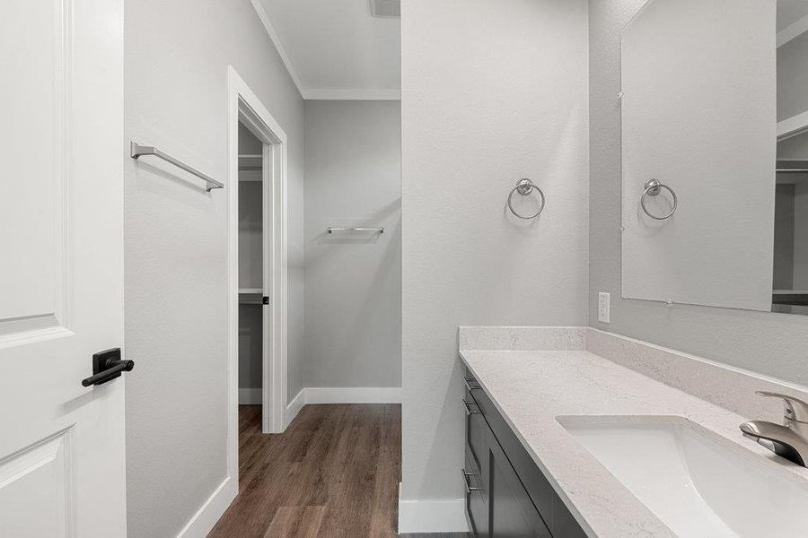 Bathroom featuring vanity, a walk in closet, ornamental molding, and dark wood-style floors