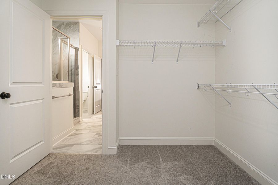 620_Creswell_Moor_11252025 (31 of 58) 620_Creswell_Moor_11252025 (31 of 58)