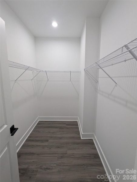 Primary walk-in closet