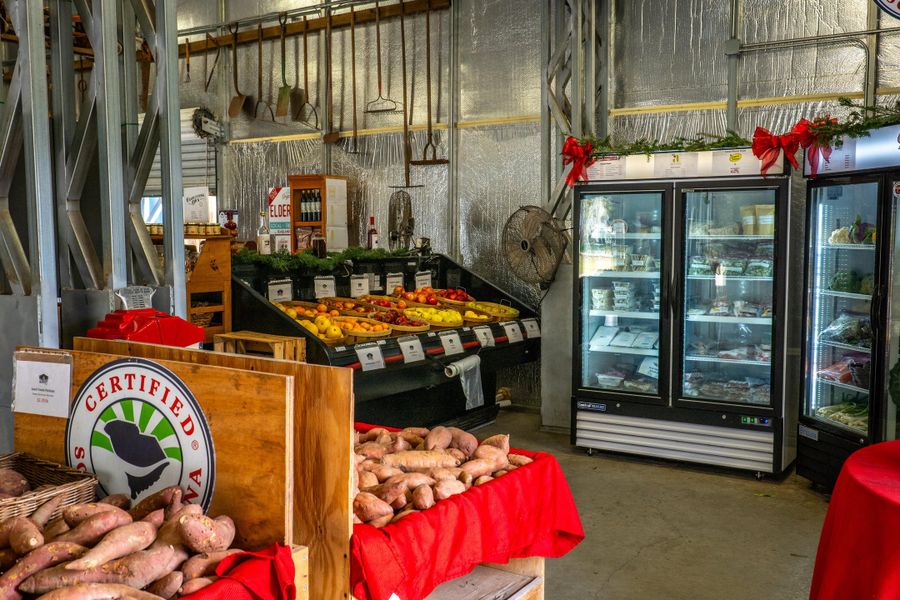 Furnished interior view inside a new home in Indigo Grove Single Family Homes, Johns Island (Image 41).