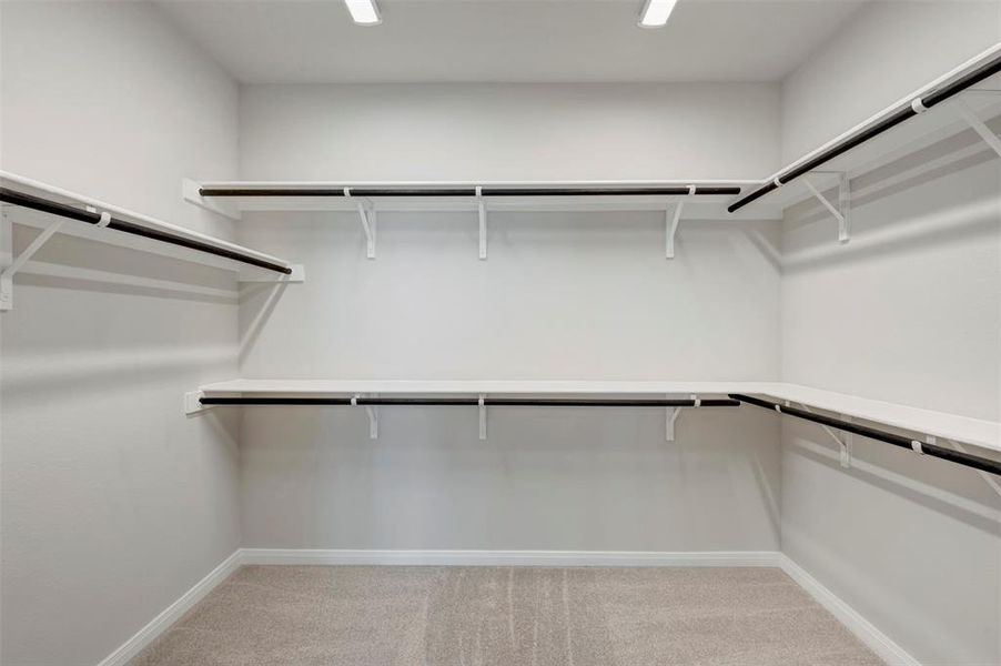 Walk in closet with light carpet