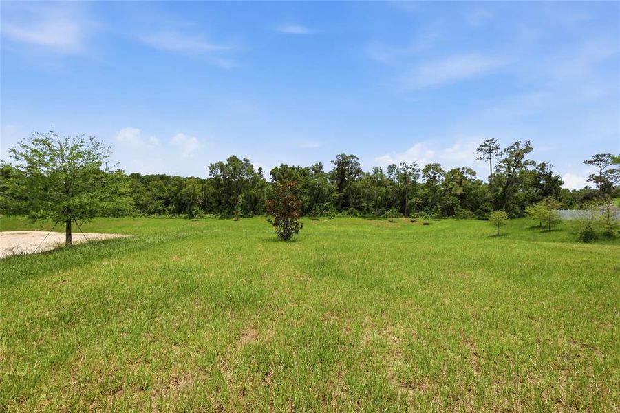 Natural landscape and outdoor views near Oak Hammock in Deland (Image 26). Natural landscape and outdoor views near Oak Hammock in Deland (Image 26).