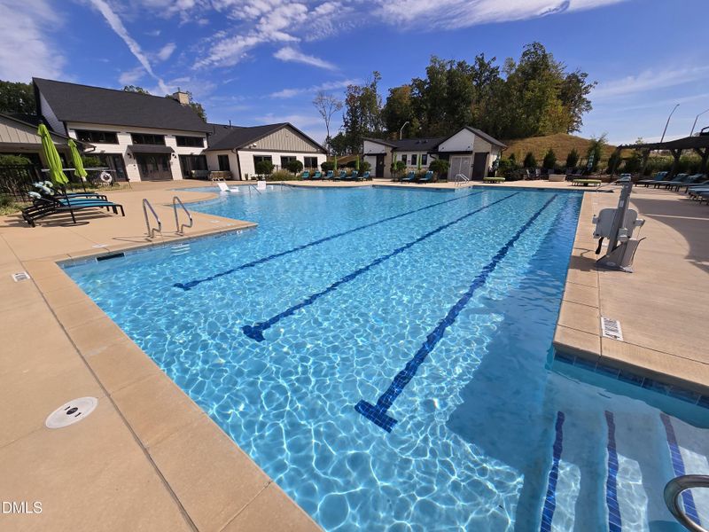 1000015347 1000015347