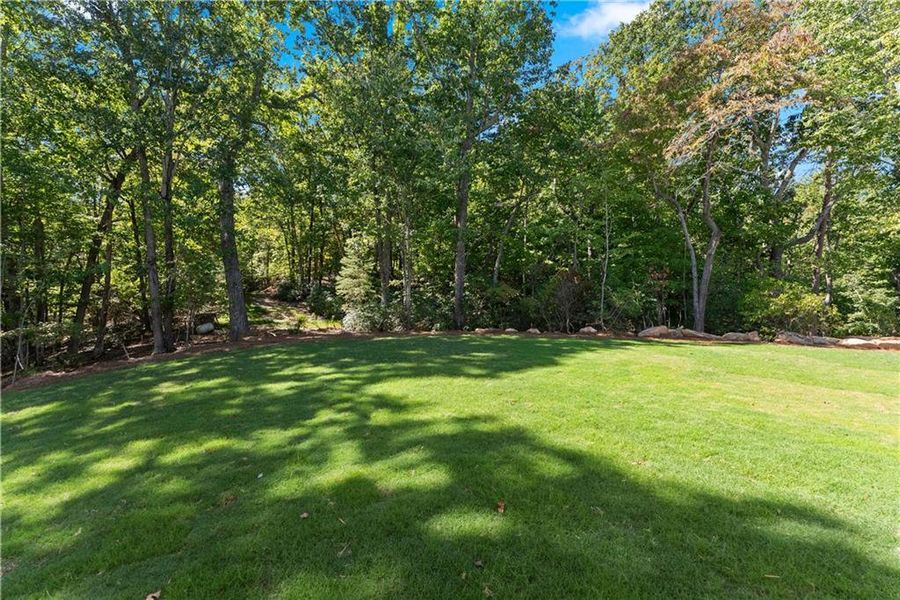 Natural landscape and outdoor views near  in Baldwin (Image 71).