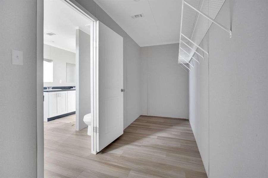 Spacious closet with light wood-type flooring