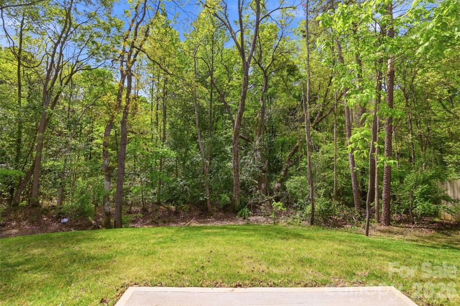 Natural landscape and outdoor views near  in Charlotte (Image 27).