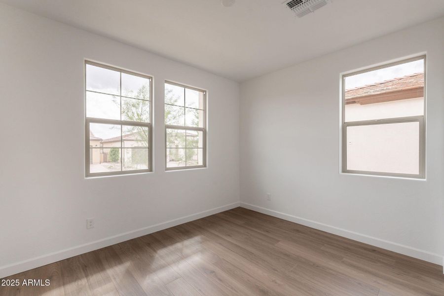 9-web-or-mls-Bittercress-9 9-web-or-mls-Bittercress-9