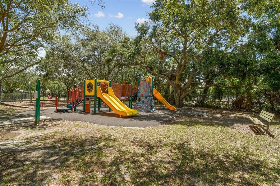Community amenities in , Tampa (Image 62).