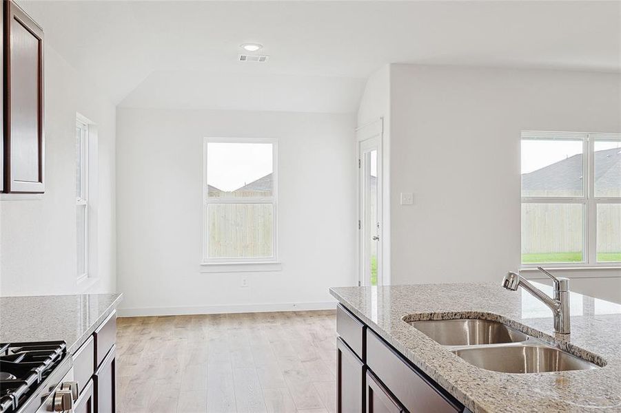 Kitchen with light hardwood / wood-style floors, light stone counters, a wealth of natural light, and sink