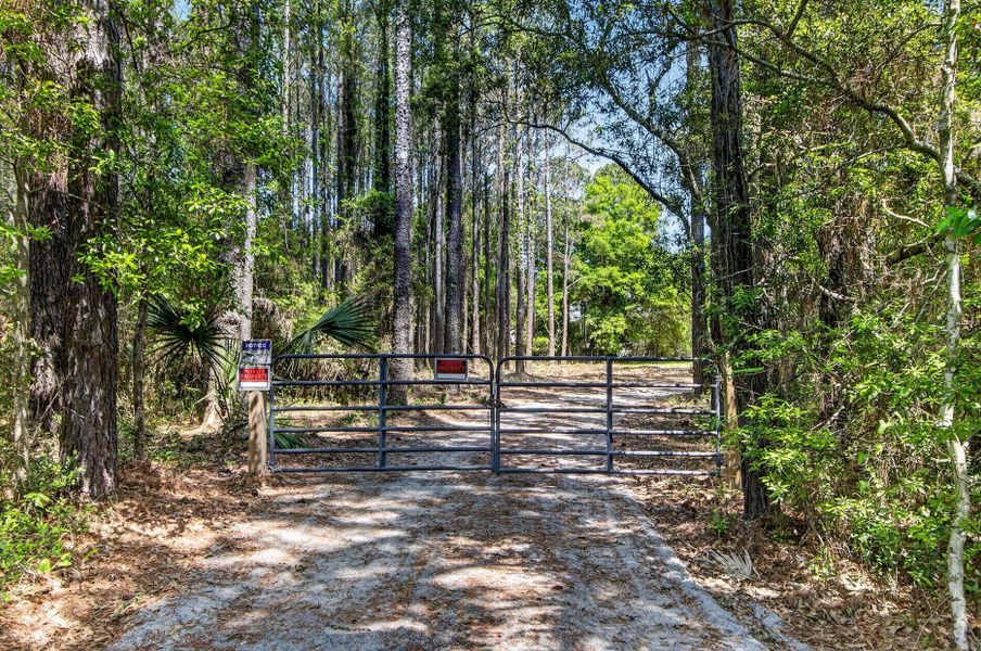 Natural landscape and outdoor views near in Awendaw (Image 14). Natural landscape and outdoor views near in Awendaw (Image 14).