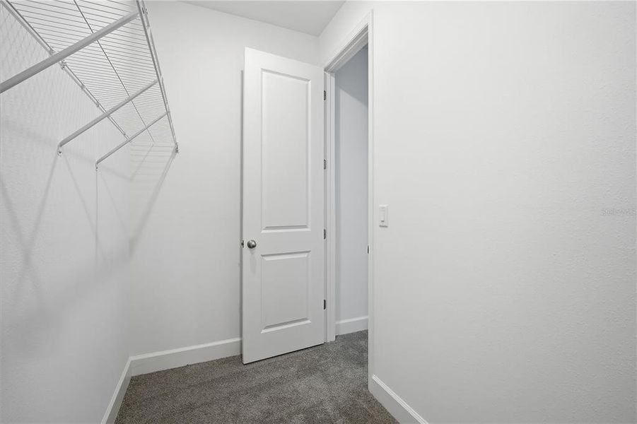Spacious, unfurnished interior of a new home in Waterset, Apollo Beach (Image 23).