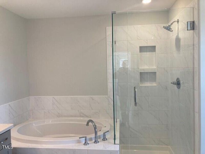 primary bath tub and shower