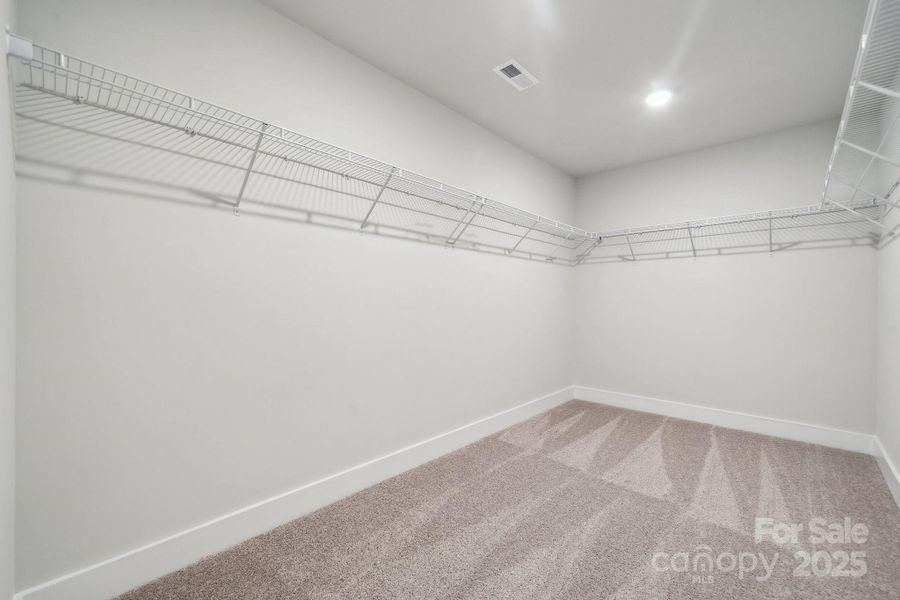 Representative picture