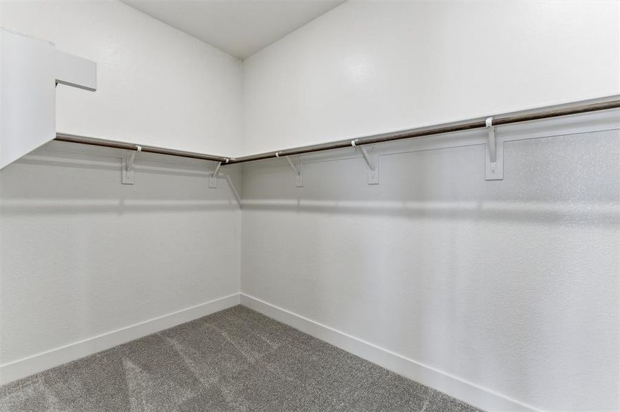 Walk in closet with dark colored carpet Walk in closet with dark colored carpet