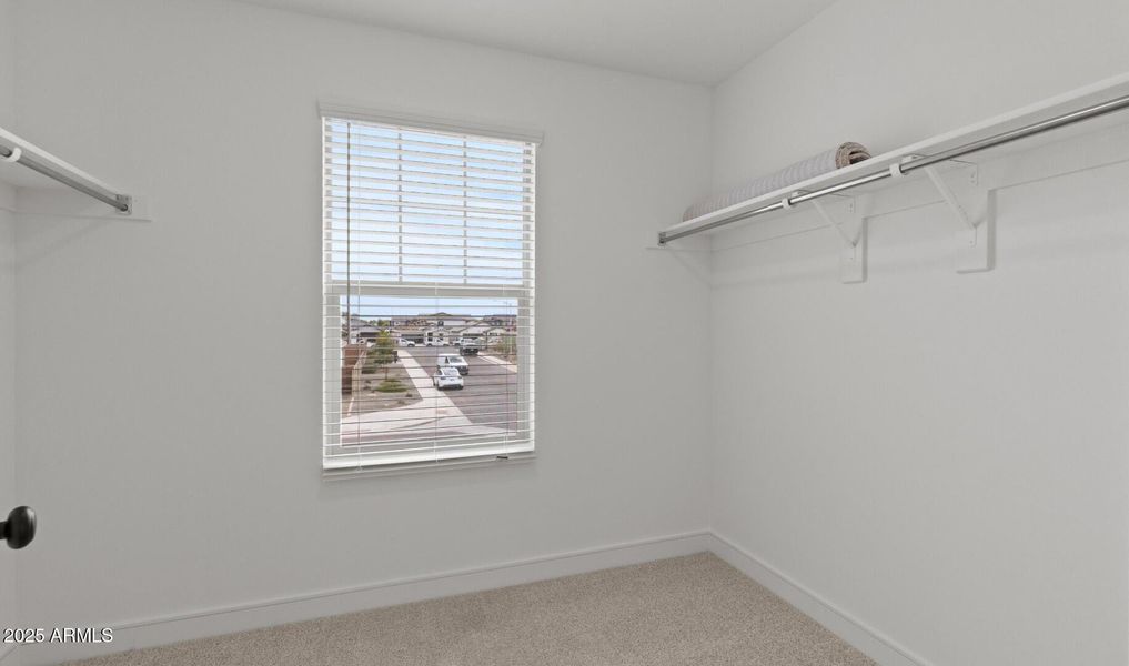 LS Lot #91 Primary WIC (Large) LS Lot #91 Primary WIC (Large)