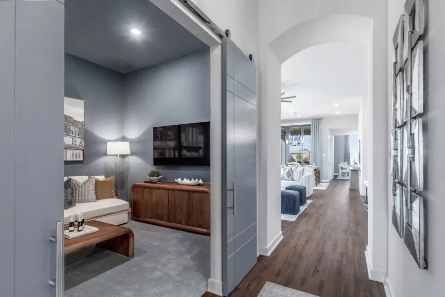 Representative Entry/Entertainment Room - some options shown Representative Entry/Entertainment Room - some options shown