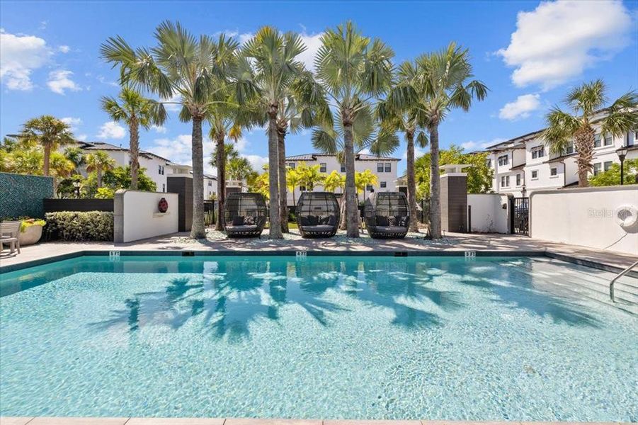 Community amenities in , Tampa (Image 34).