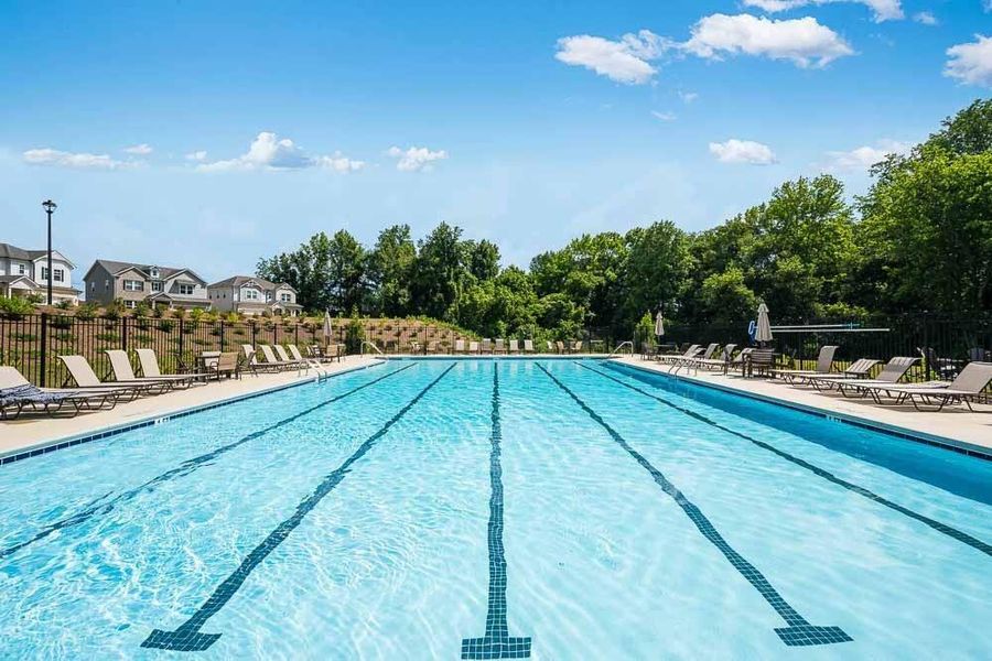 Community amenities in Falls Creek, Flowery Branch (Image 41).