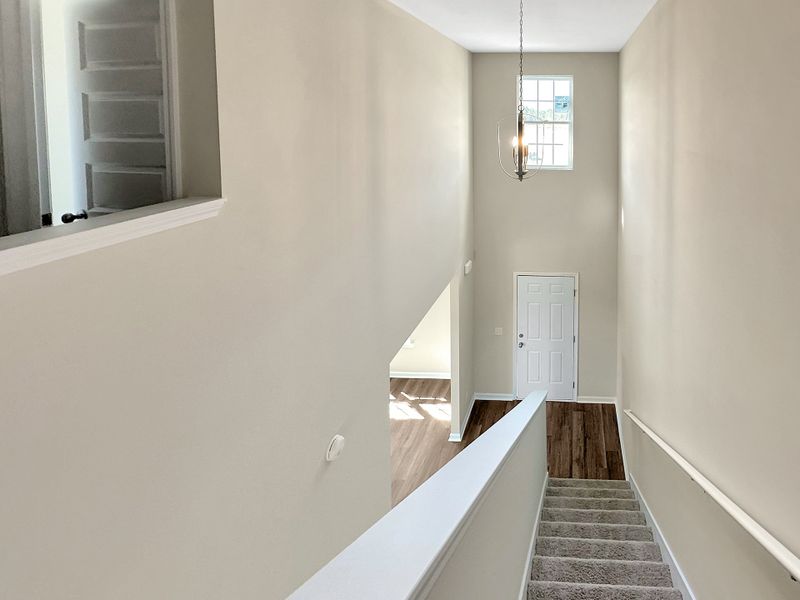 Furnished interior view inside a new home in Tibet Road at Sassafras, Allenhurst (Image 8).
