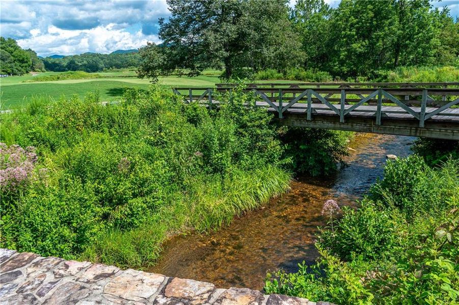 Natural landscape and outdoor views near  in Blairsville (Image 95).