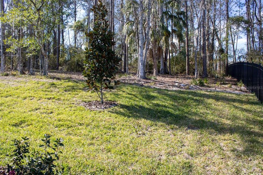 Natural landscape and outdoor views near Southern Hills Plantation in Brooksville (Image 49).