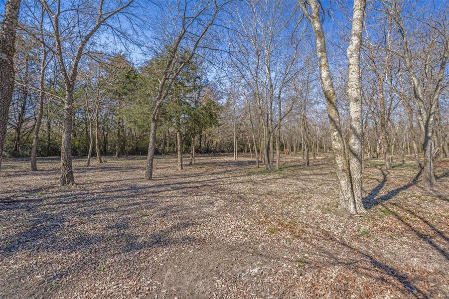 Natural landscape and outdoor views near  in Greenville (Image 24).