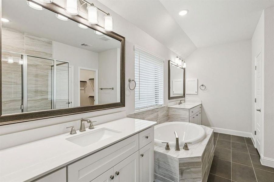 8-1862Silver_008 8-1862Silver_008