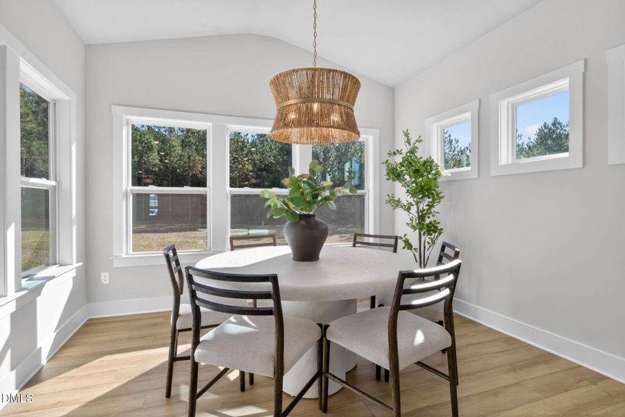 DC 39 Apex Interior-16