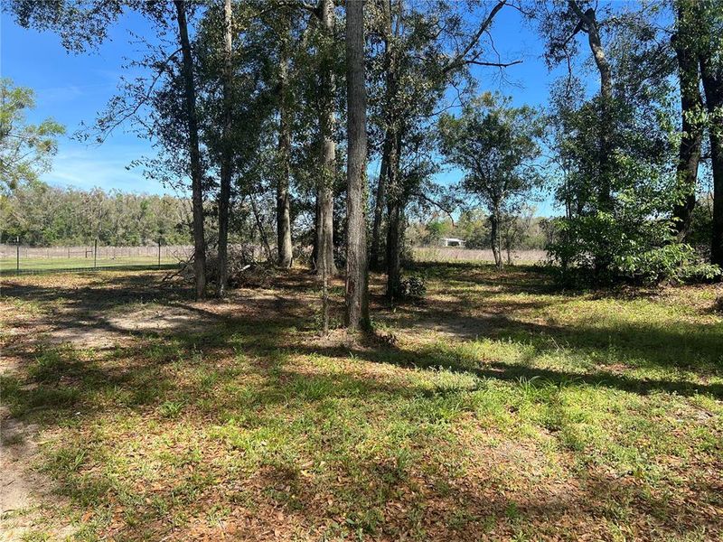 Natural landscape and outdoor views near  in Branford (Image 26).
