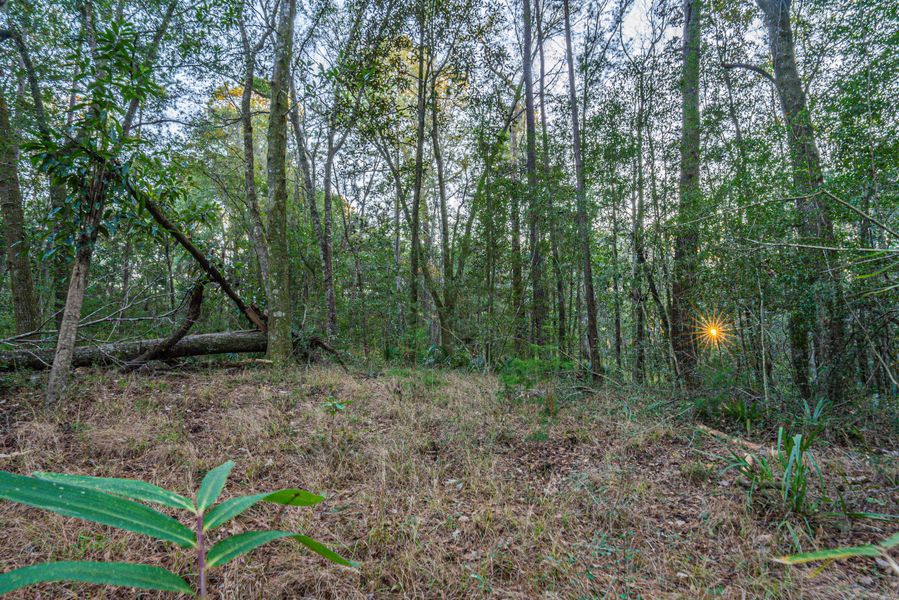 Natural landscape and outdoor views near in Dorchester (Image 43). Natural landscape and outdoor views near in Dorchester (Image 43).