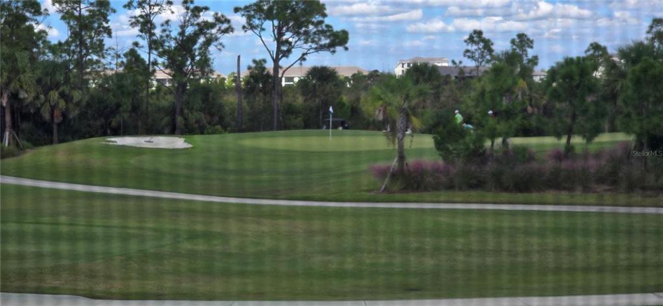 Natural landscape and outdoor views near in Venice (Image 25). Natural landscape and outdoor views near in Venice (Image 25).