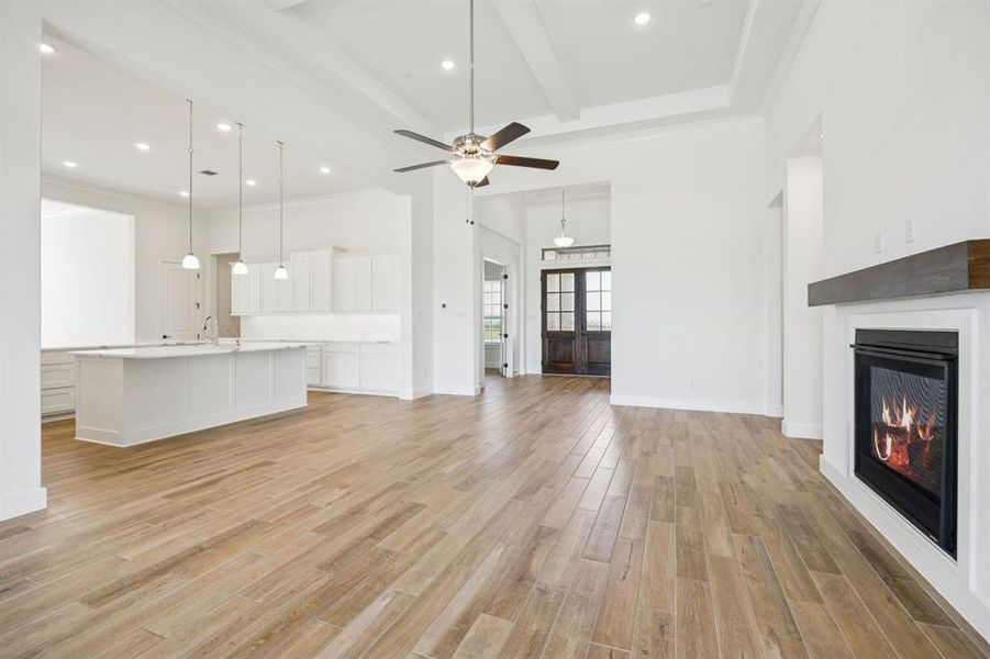 3-112Swan_007 3-112Swan_007