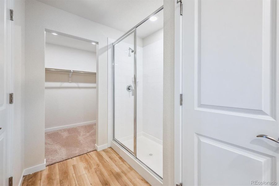 Spacious, unfurnished interior of a new home in Farmlore, Brighton (Image 19).