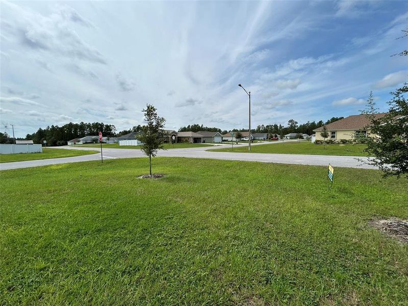 Natural landscape and outdoor views near  in Citrus Springs (Image 18).