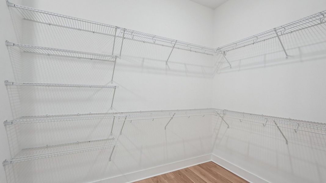 The Walk-In Closet The Walk-In Closet