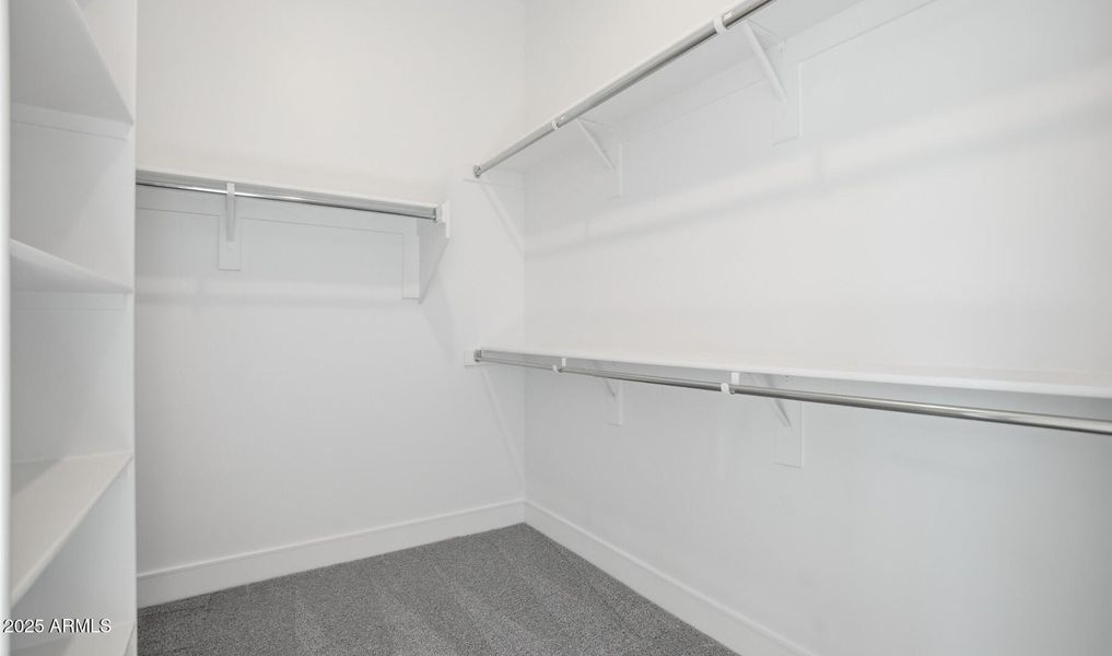 Edgewood Lot #165 Primary Closet (Large)