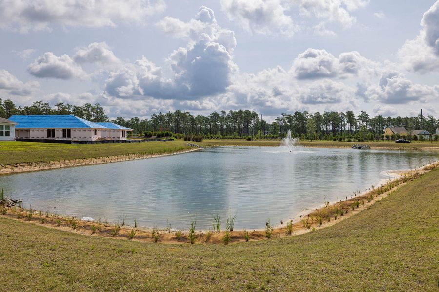 Community amenities in , Charleston (Image 46).