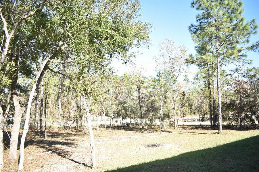 Natural landscape and outdoor views near  in Williston (Image 47).