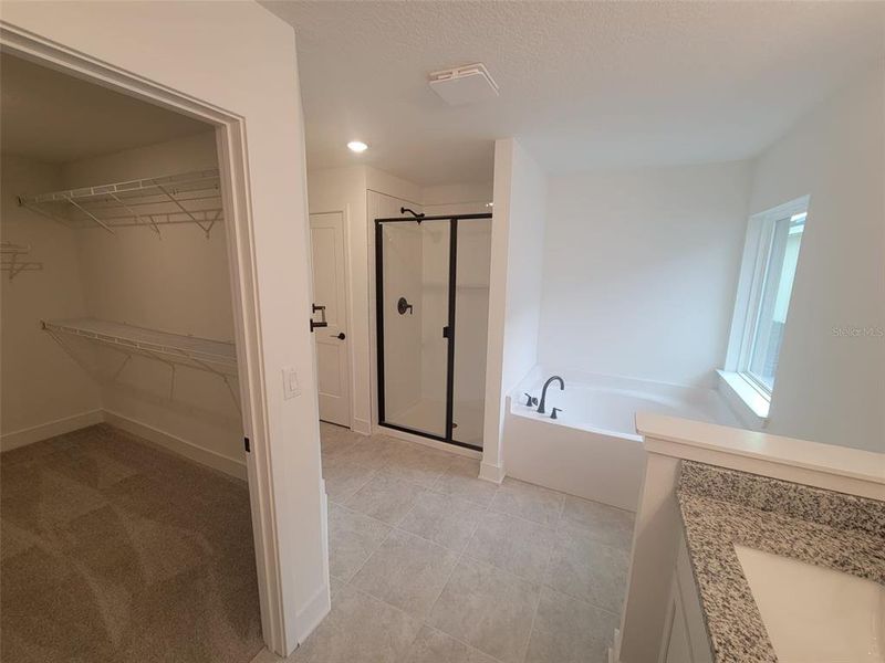 Spacious, unfurnished interior of a new home in Arbor Park, Leesburg (Image 15). Spacious, unfurnished interior of a new home in Arbor Park, Leesburg (Image 15).
