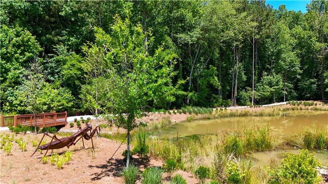 Around the corner from homesite 29 is the Eco pond and walking trail.