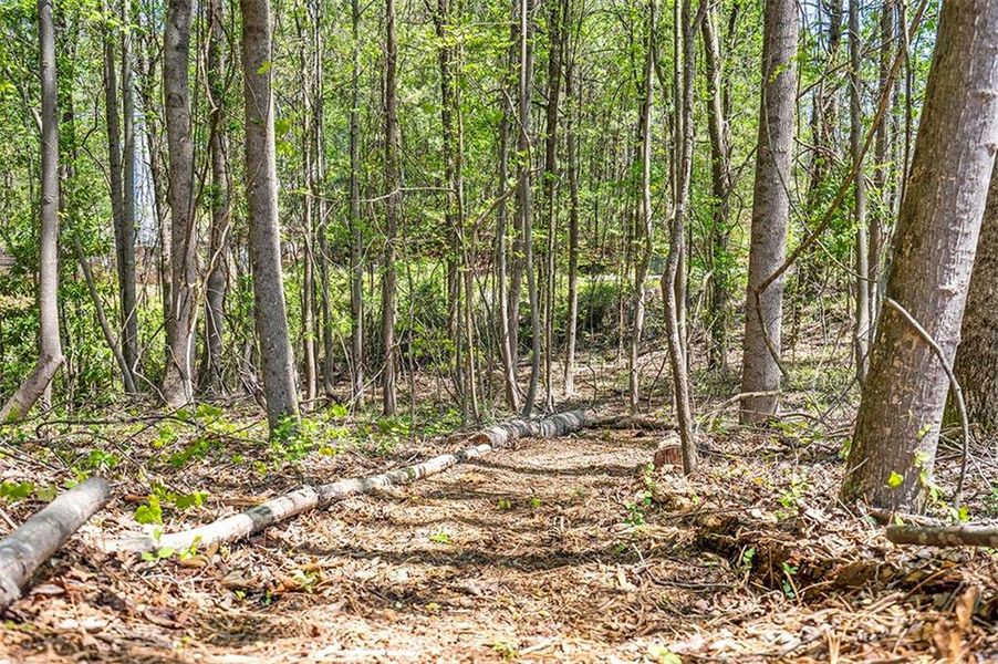Natural landscape and outdoor views near Aster in Roswell (Image 64).